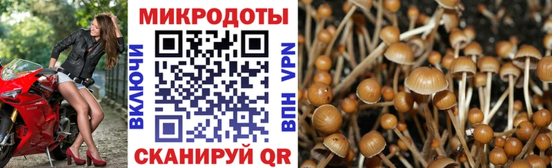 Галлюциногенные грибы мухоморы  нарко площадка телеграм  Шлиссельбург 